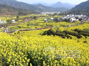 ブ源 景徳鎮 廬山