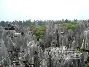 世界遺産 石林 と 西山 龍門 1日 日帰り ツアー